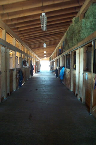 interior of the horse barn