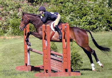 Horse and rider clearing a jump