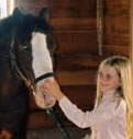 Check out our horses for sale.