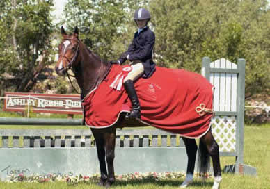 Horse and rider