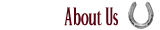 About Maple Meadows Equestrian Centre