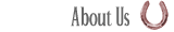 About Maple Meadows Equestrian Centre