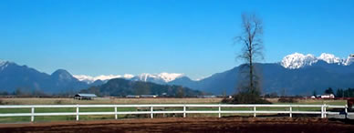 Outdoor riding ring at Maple Meadows Equestrian Center