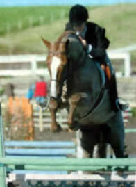 Horse and rider clearing jump