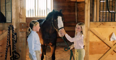 Stables at Maple Meadows Equestrian Centre
