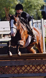 Young rider and horse